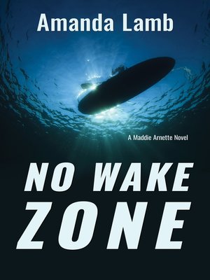 cover image of No Wake Zone